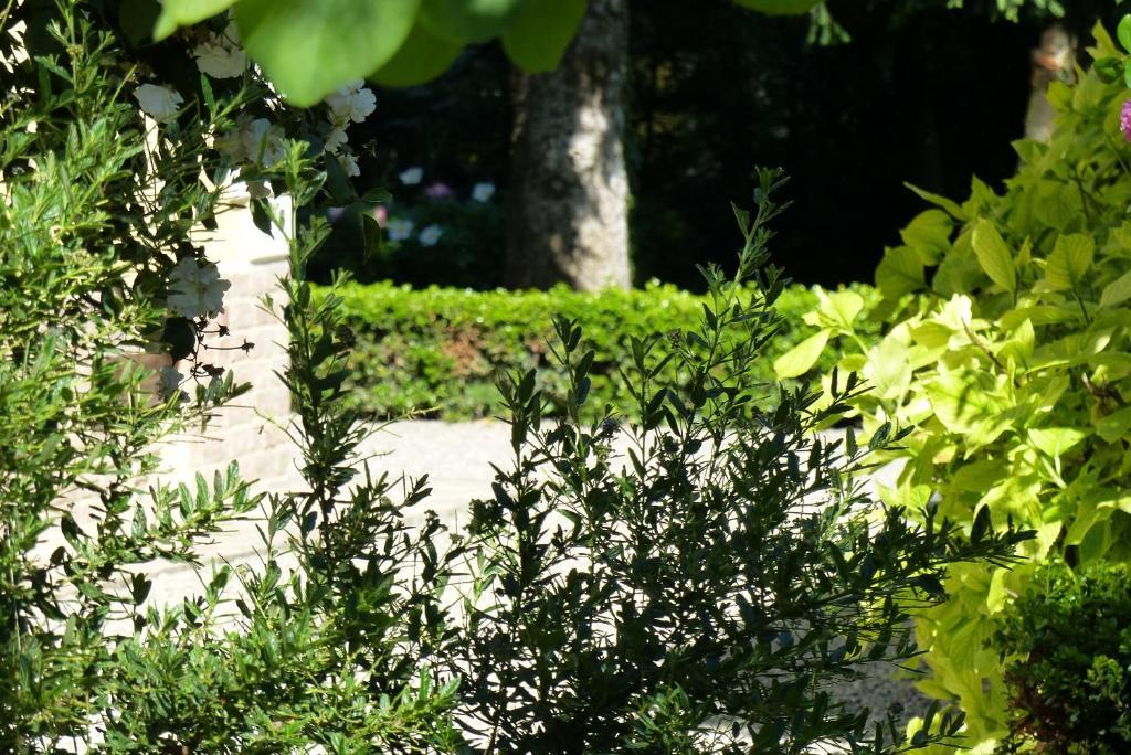Villino Di Porporano Bed & Breakfast 2*